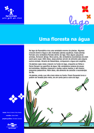 Floresta na água